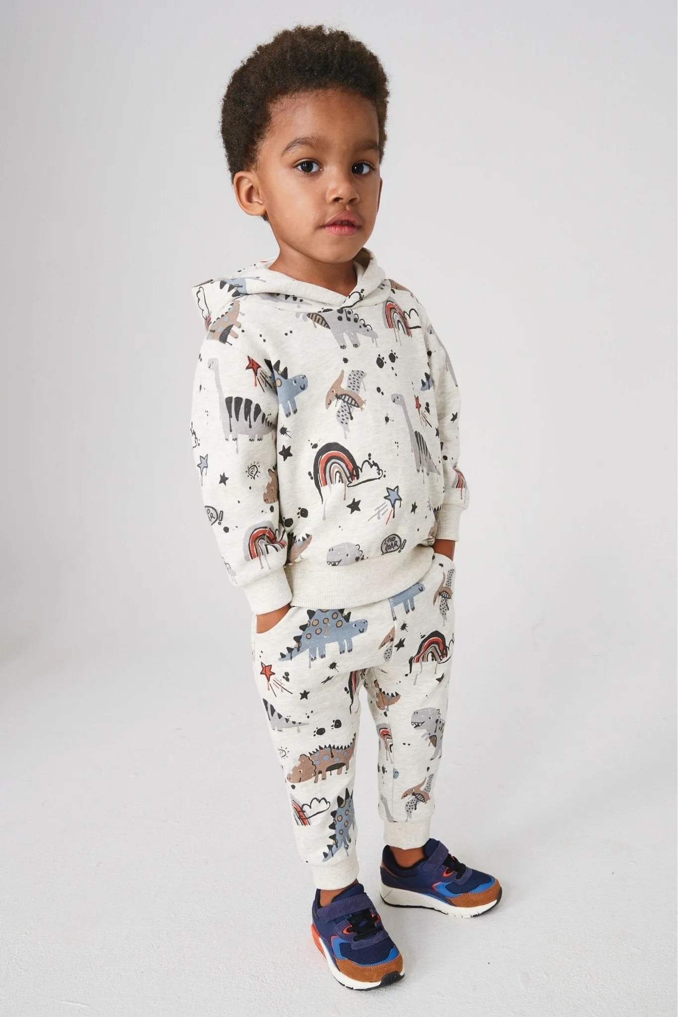 Toddler Boys Dinosaur Print Hoodie Set